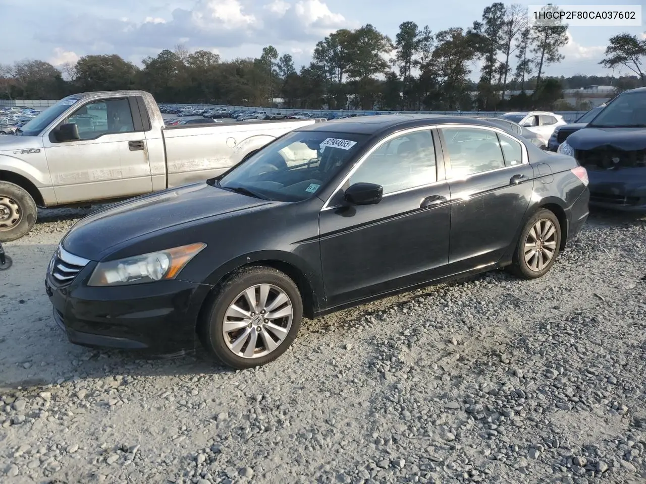 1HGCP2F80CA037602 2012 Honda Accord Exl