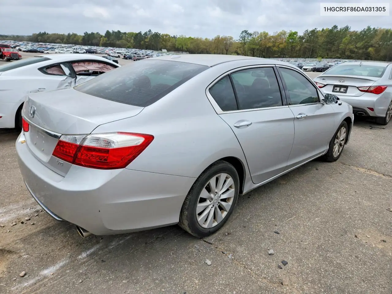 1HGCR3F86DA031305 2013 Honda Accord Exl