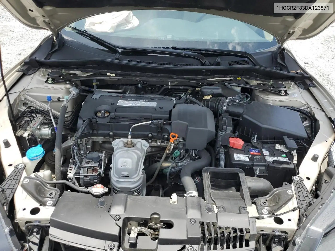 1HGCR2F83DA123871 2013 Honda Accord Exl