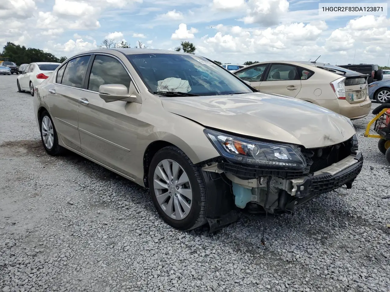 1HGCR2F83DA123871 2013 Honda Accord Exl
