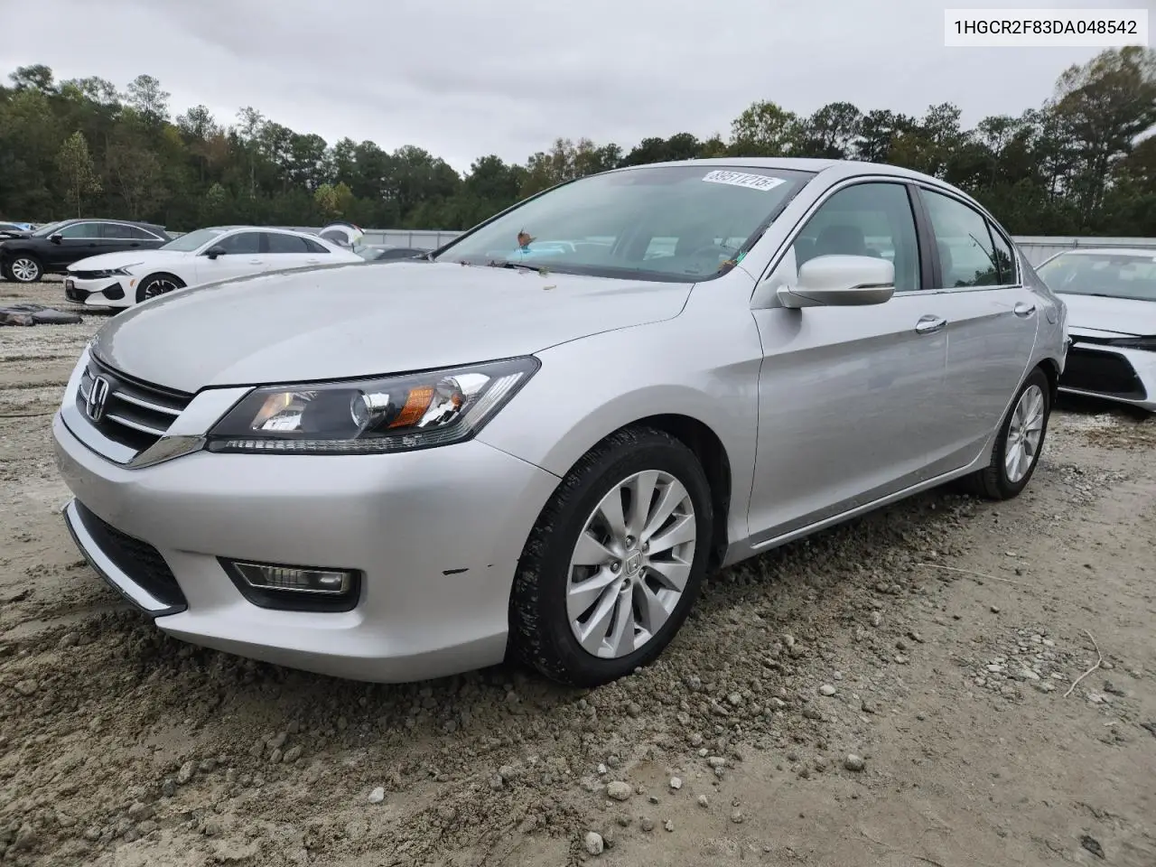 1HGCR2F83DA048542 2013 Honda Accord Exl