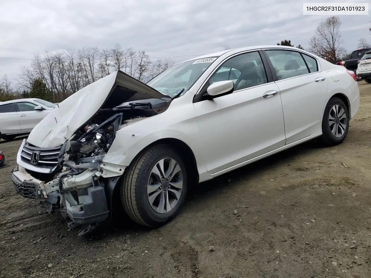 1HGCR2F31DA101923 2013 Honda Accord Lx