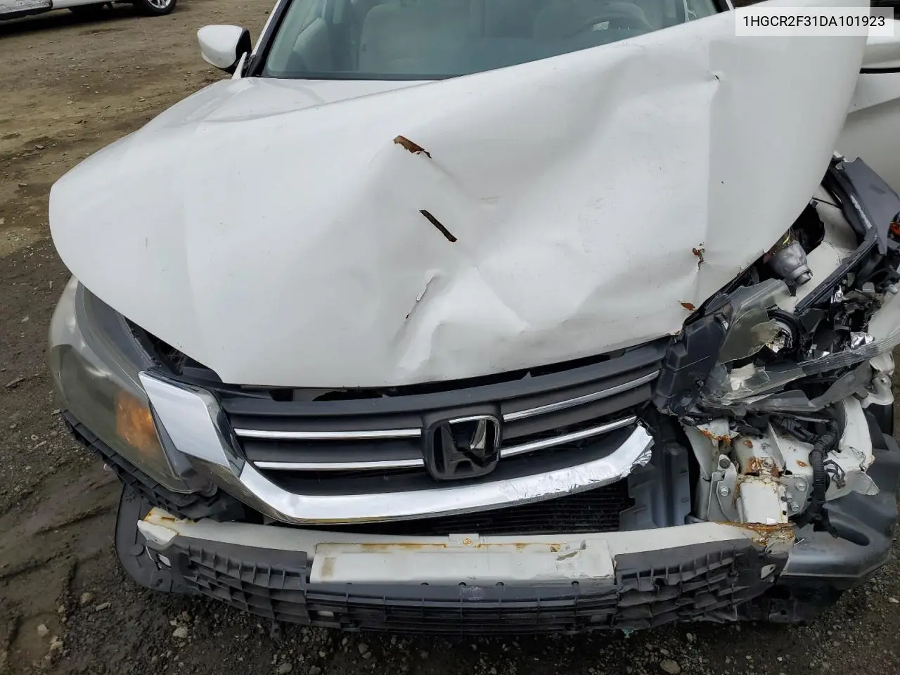 1HGCR2F31DA101923 2013 Honda Accord Lx