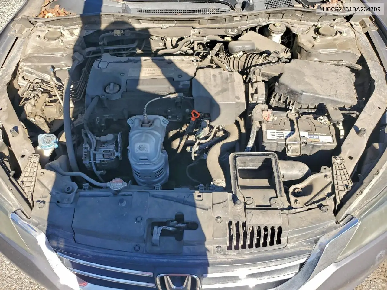 1HGCR2F31DA234309 2013 Honda Accord Lx