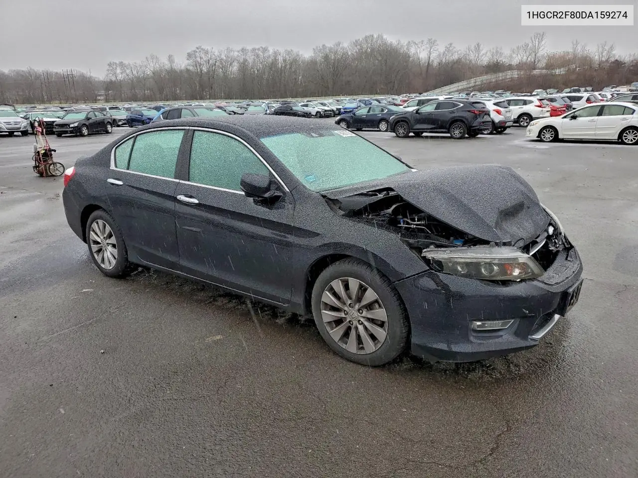 1HGCR2F80DA159274 2013 Honda Accord Exl