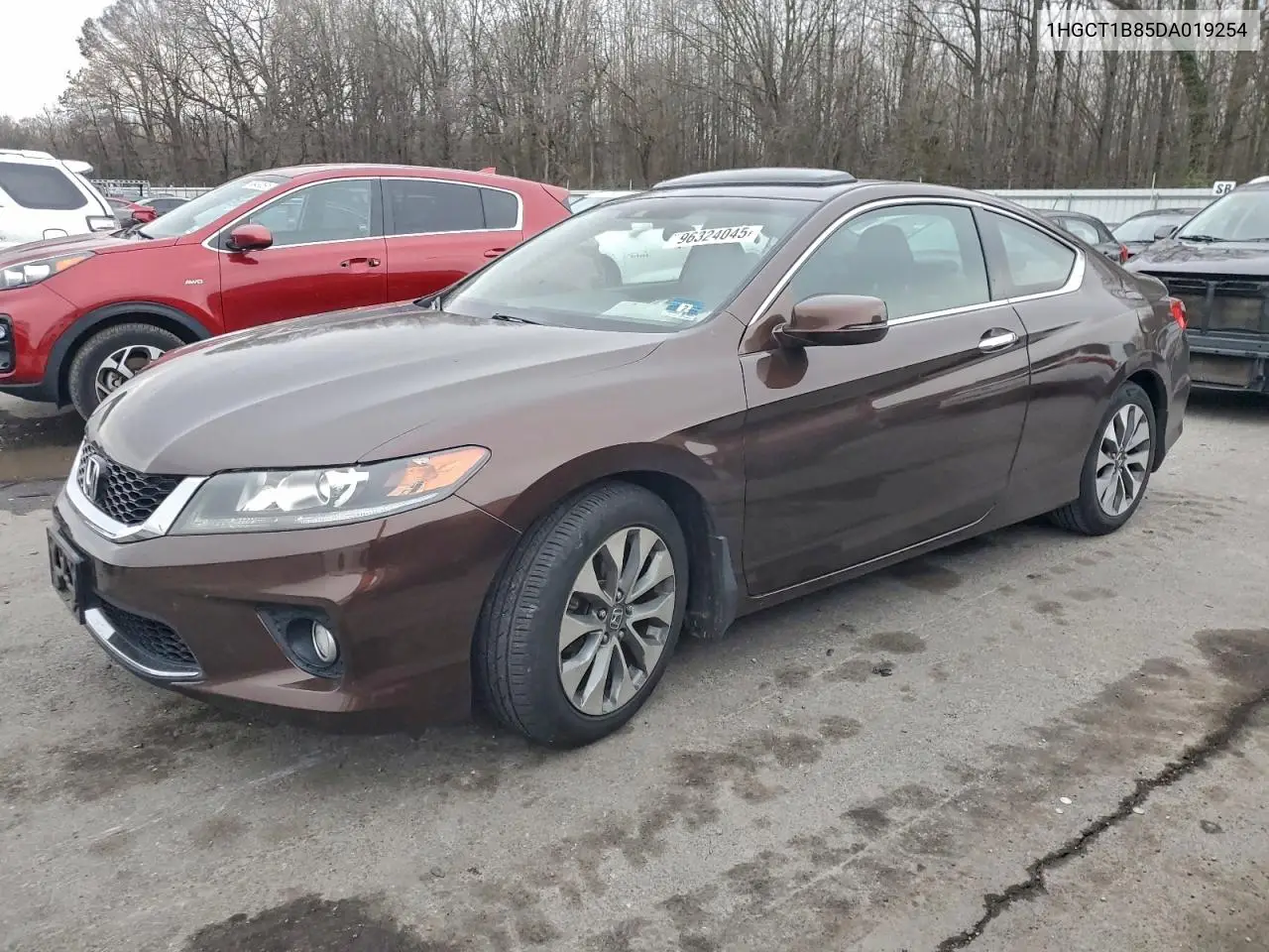 1HGCT1B85DA019254 2013 Honda Accord Exl