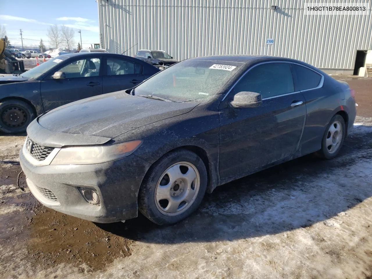 1HGCT1B78EA800813 2014 Honda Accord Ex