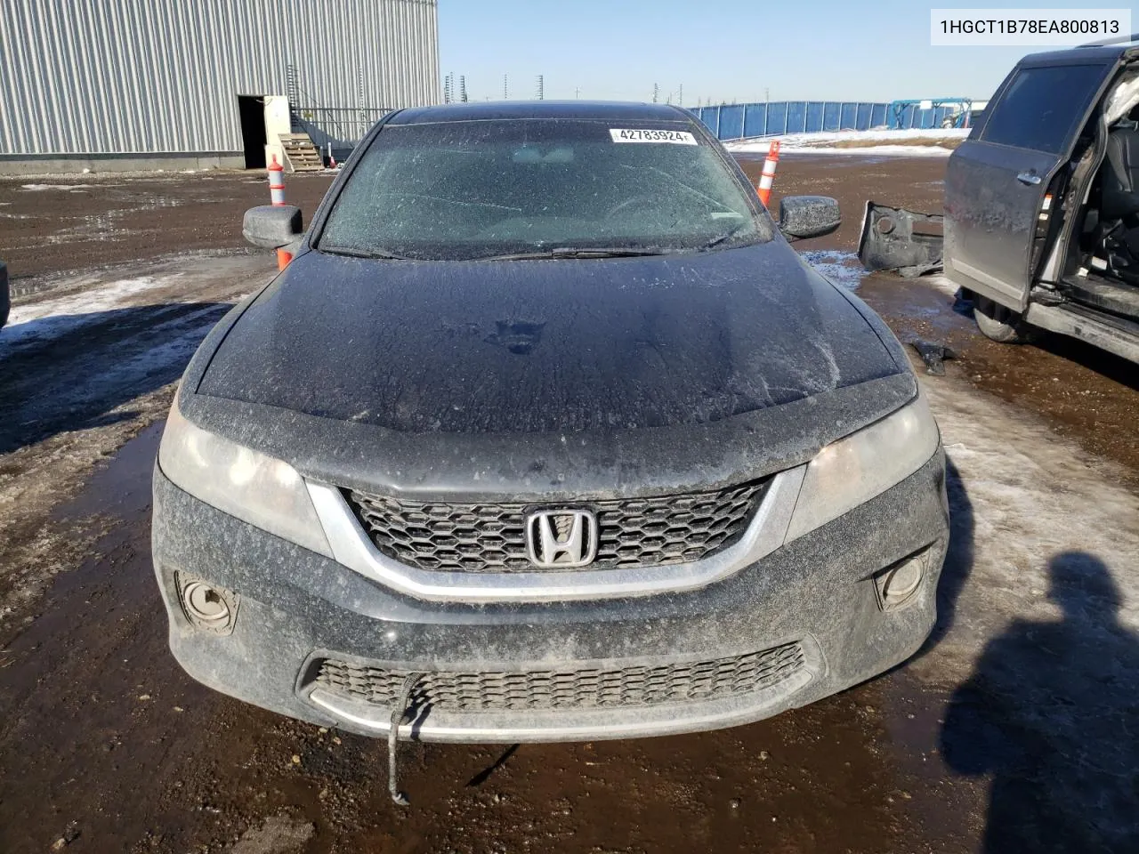 1HGCT1B78EA800813 2014 Honda Accord Ex