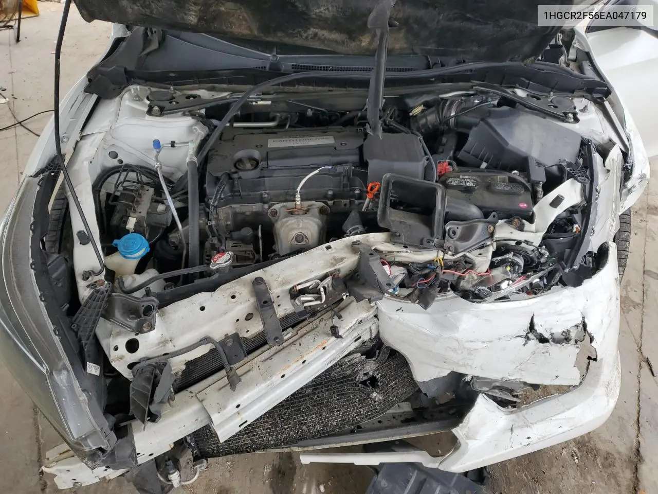 1HGCR2F56EA047179 2014 Honda Accord Sport