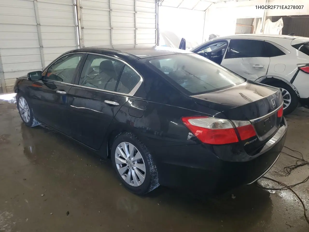 1HGCR2F71EA278007 2014 Honda Accord Ex