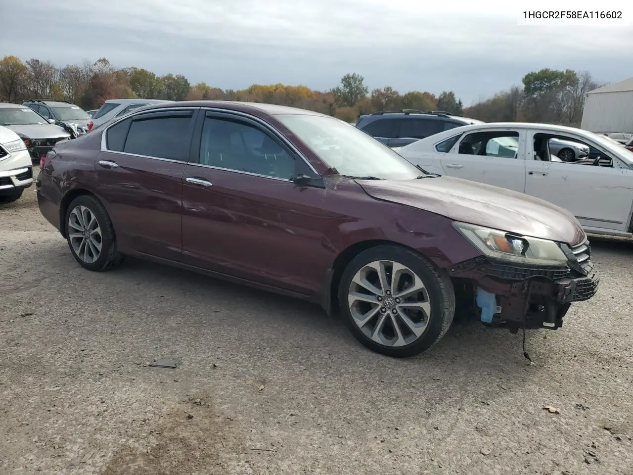 1HGCR2F58EA116602 2014 Honda Accord Sport