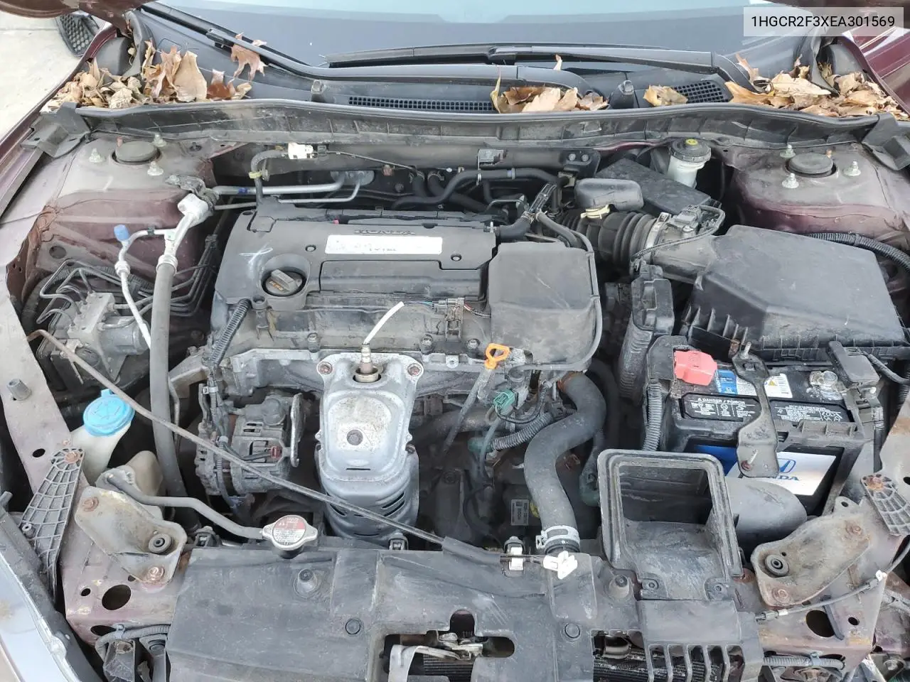 1HGCR2F3XEA301569 2014 Honda Accord Lx