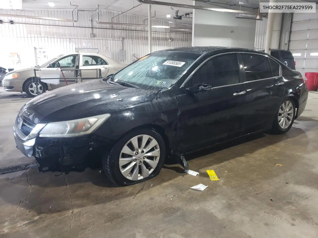 1HGCR2F75EA229599 2014 Honda Accord Ex