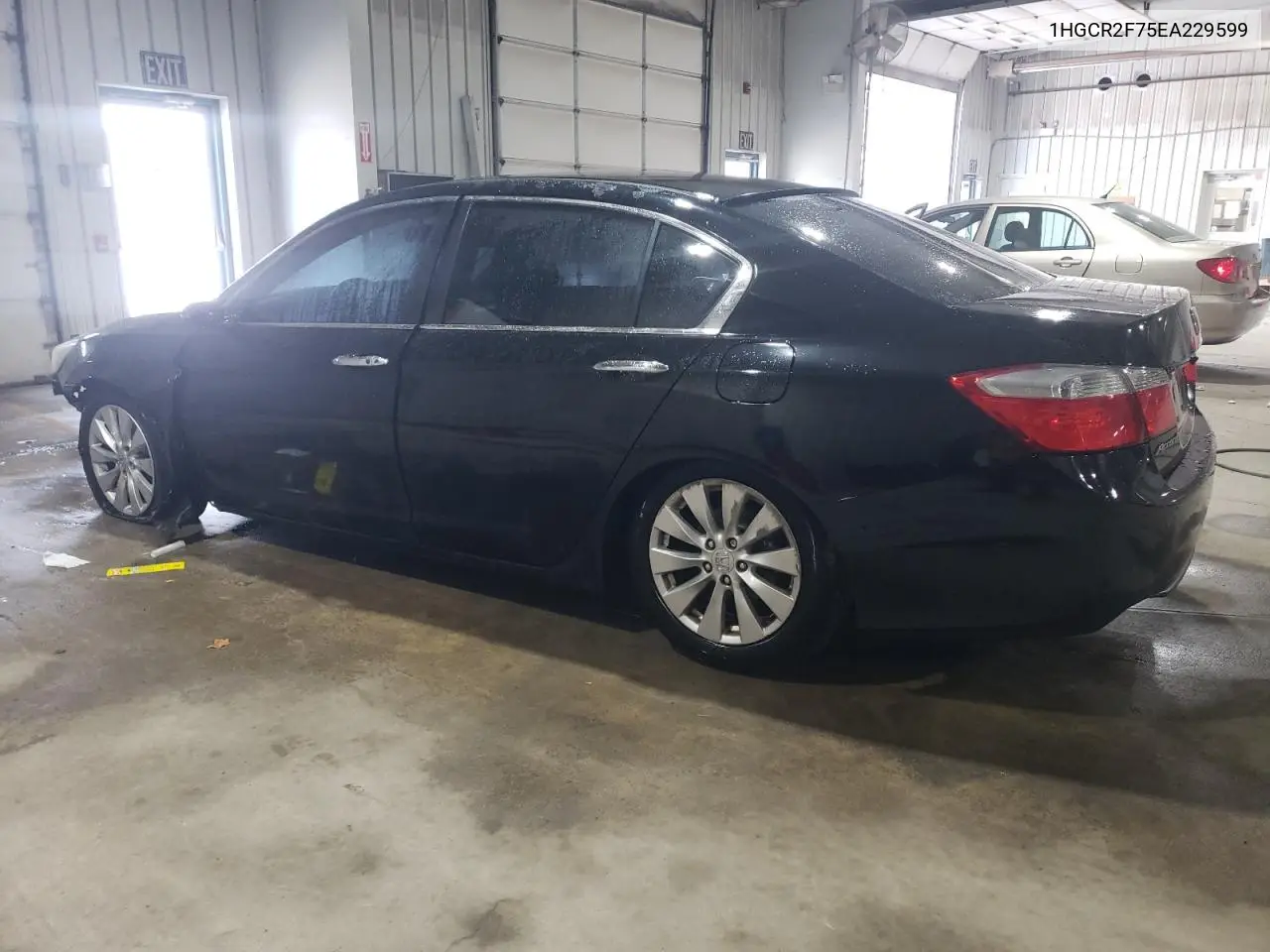 1HGCR2F75EA229599 2014 Honda Accord Ex