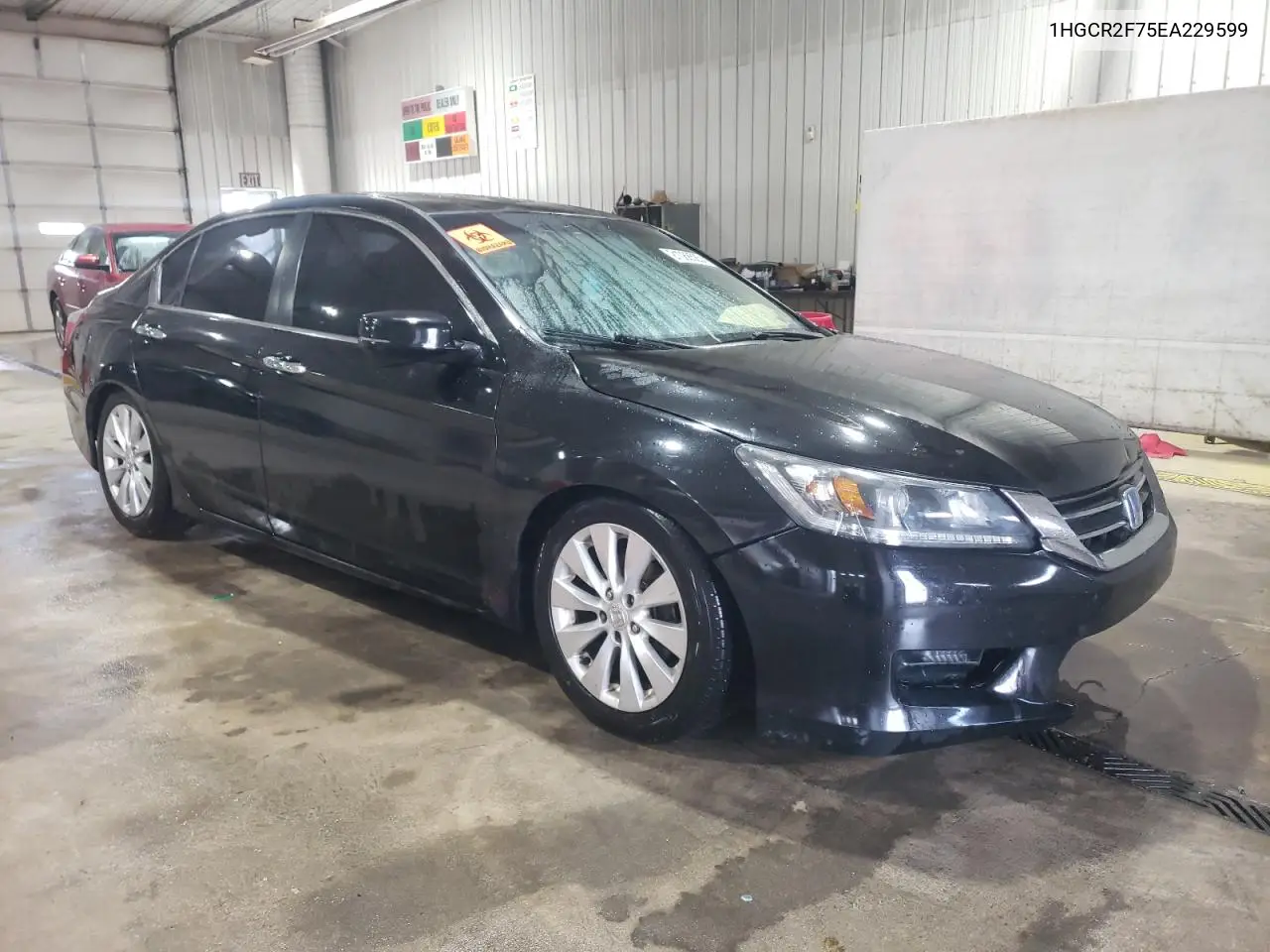 1HGCR2F75EA229599 2014 Honda Accord Ex
