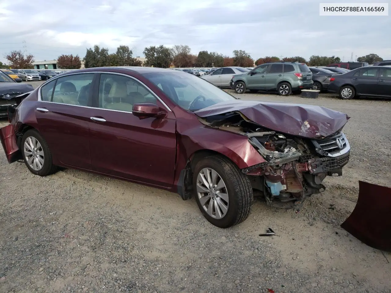 1HGCR2F88EA166569 2014 Honda Accord Exl