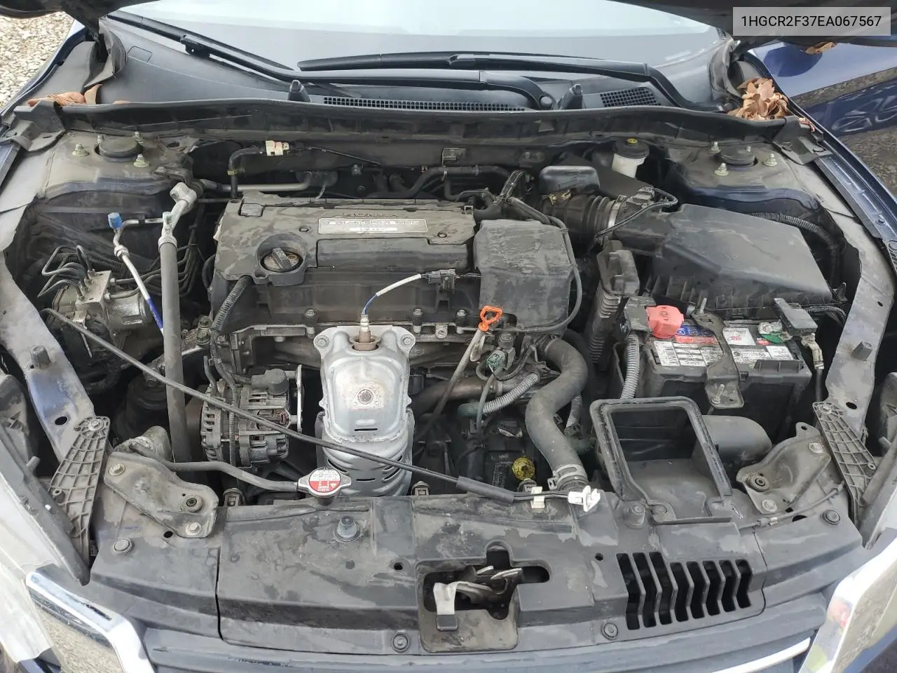 1HGCR2F37EA067567 2014 Honda Accord Lx