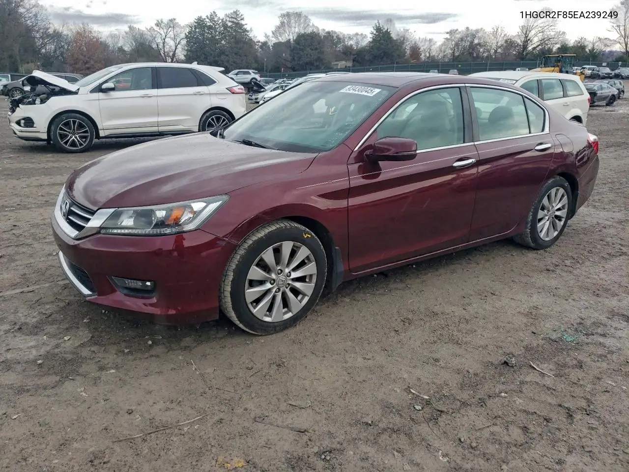 1HGCR2F85EA239249 2014 Honda Accord Exl