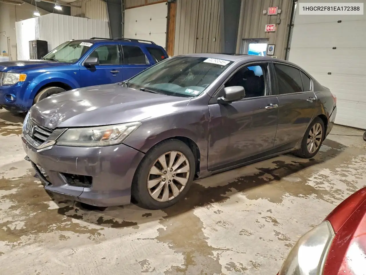 1HGCR2F81EA172388 2014 Honda Accord Exl