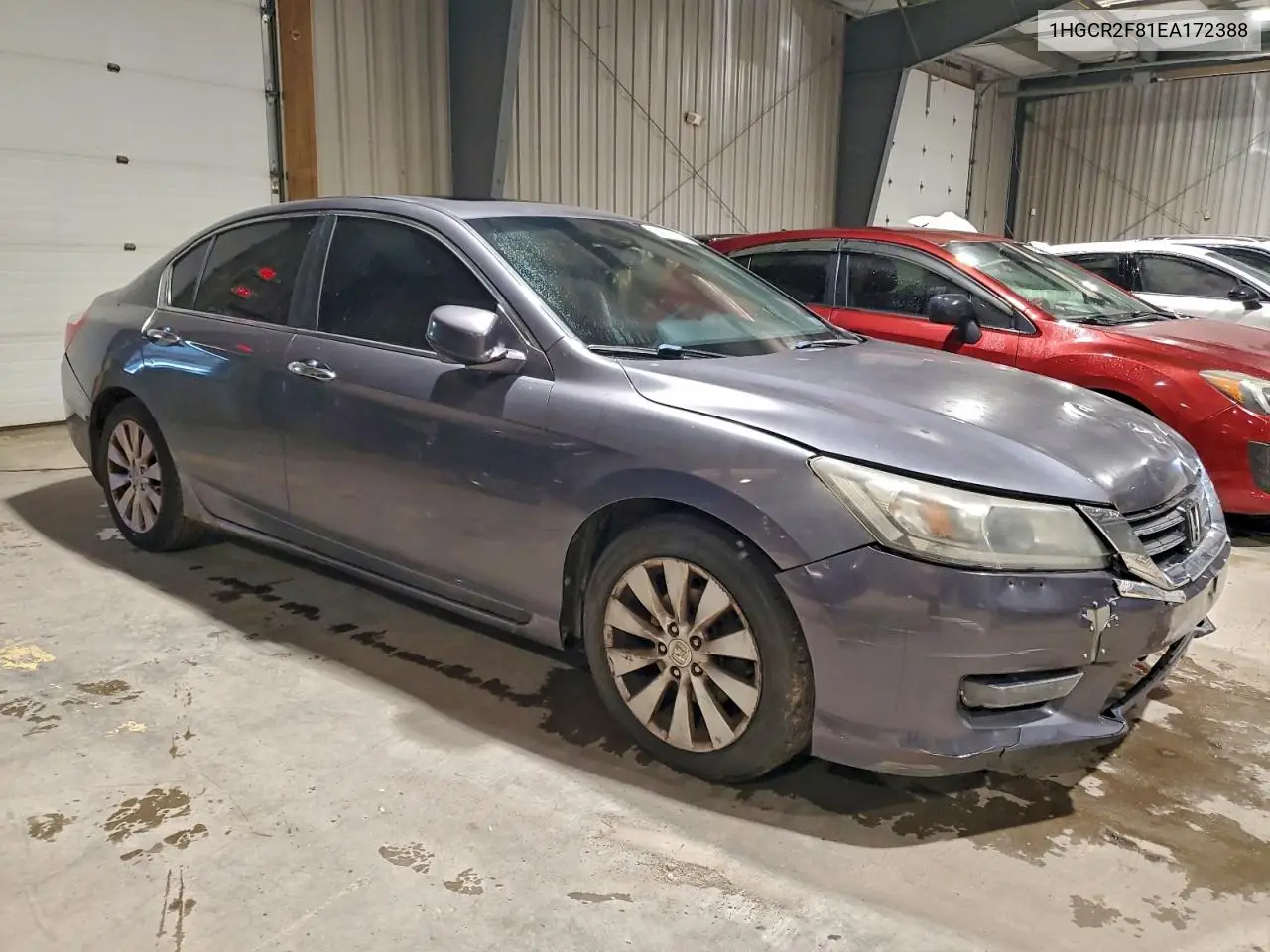 1HGCR2F81EA172388 2014 Honda Accord Exl