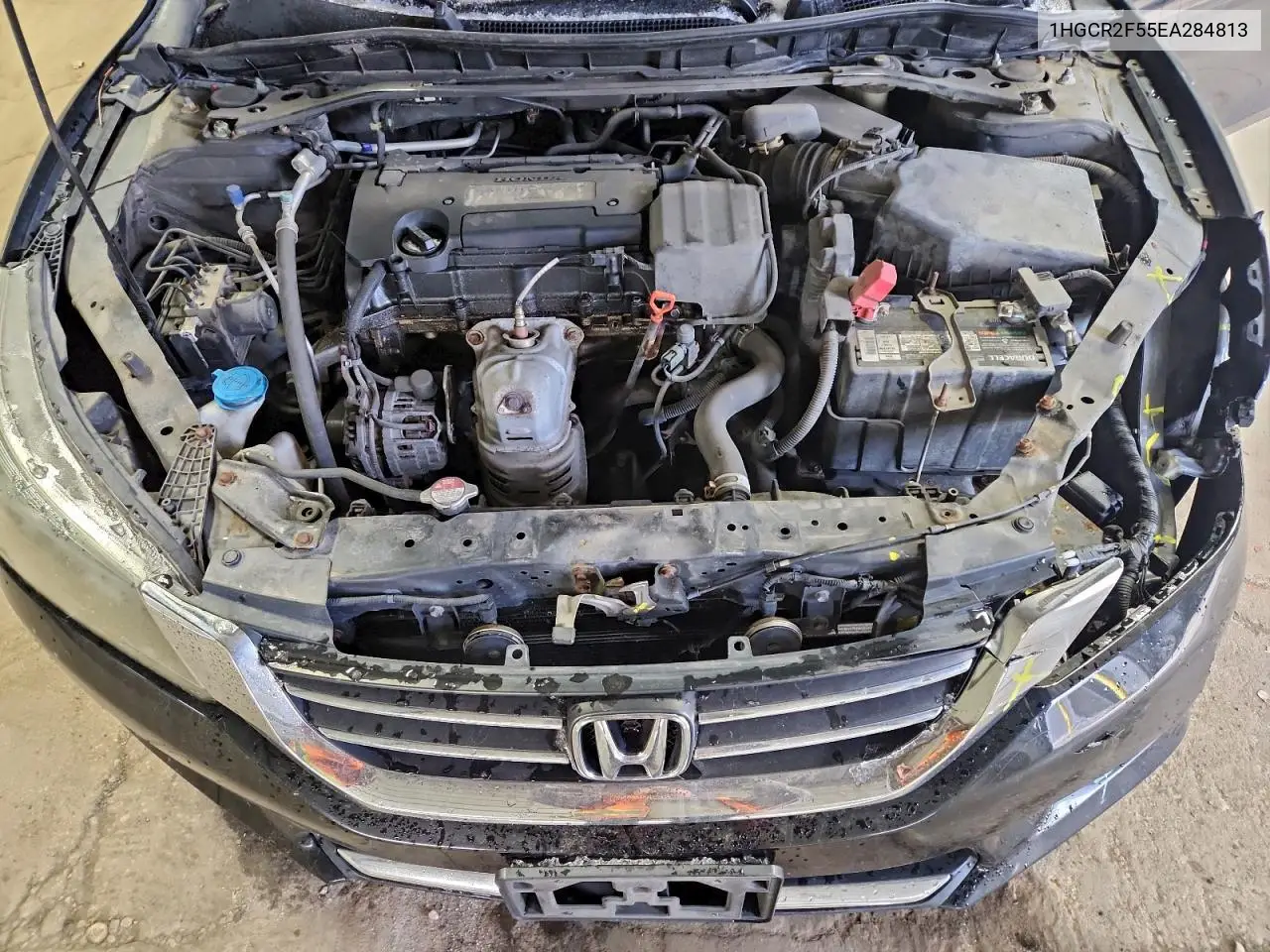 1HGCR2F55EA284813 2014 Honda Accord Sport