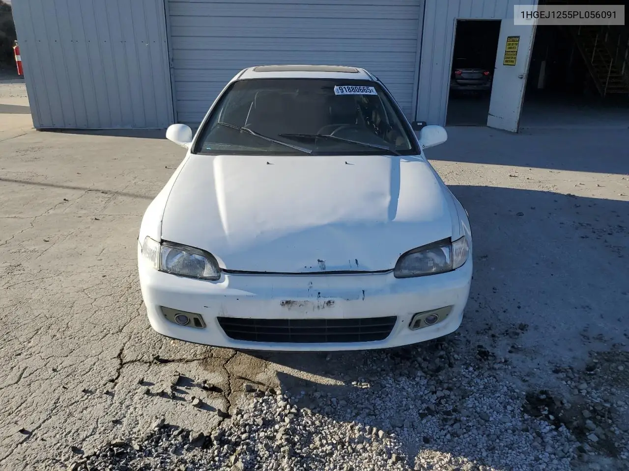 1HGEJ1255PL056091 1993 Honda Civic Ex