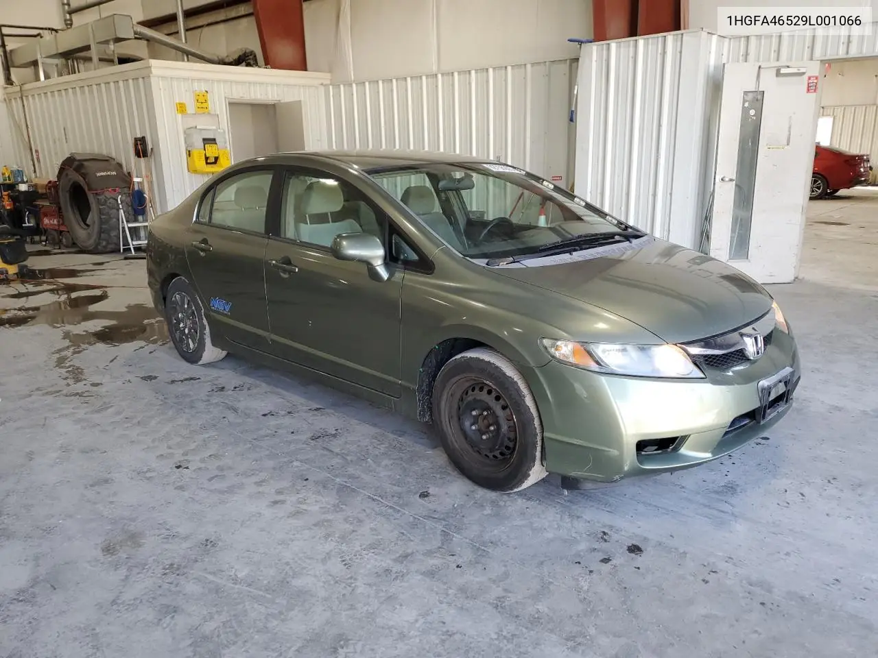 1HGFA46529L001066 2009 Honda Civic Gx