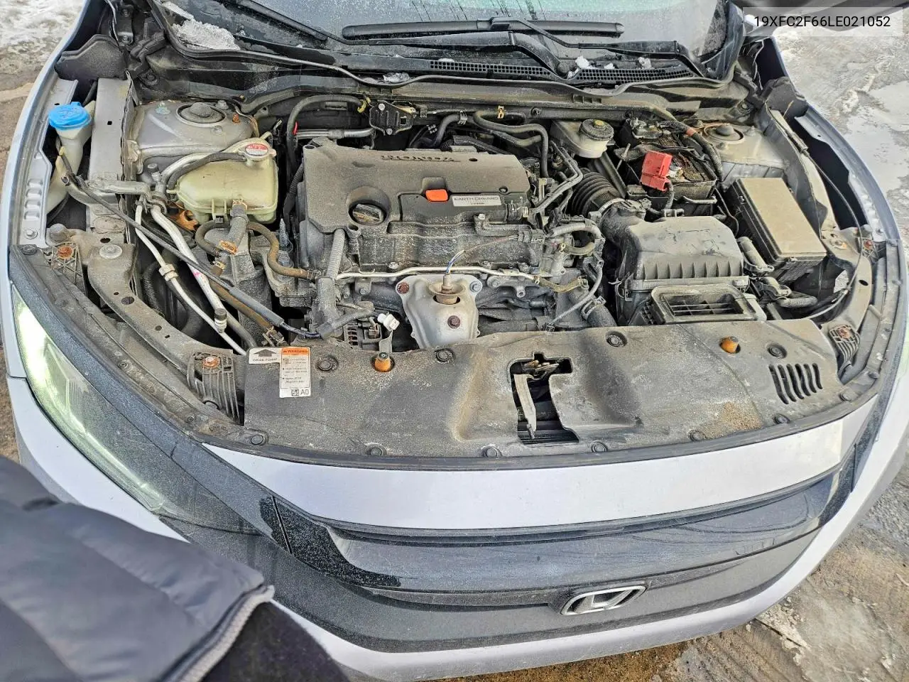 19XFC2F66LE021052 2020 Honda Civic Lx