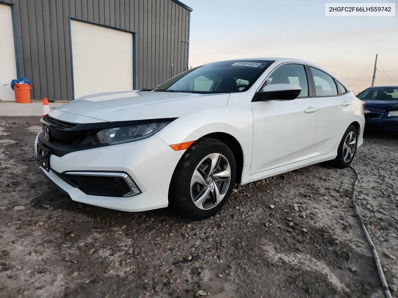 2HGFC2F66LH559742 2020 Honda Civic Lx
