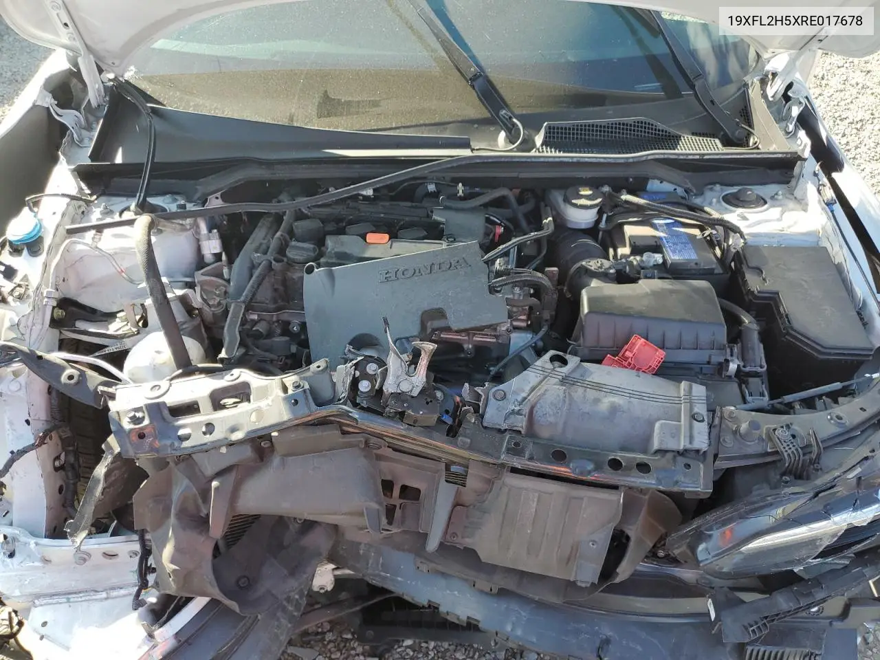 19XFL2H5XRE017678 2024 Honda Civic Lx