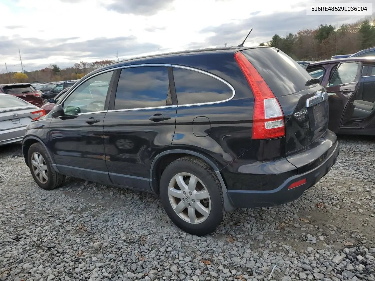 5J6RE48529L036004 2009 Honda Cr-V Ex