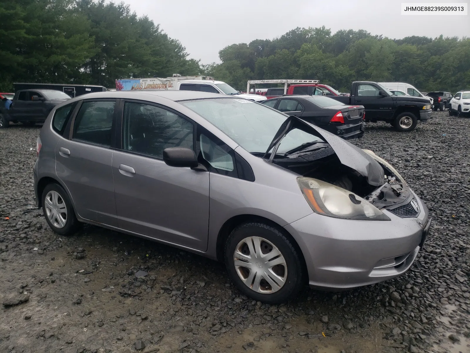 2009 Honda Fit VIN: JHMGE88239S009313 Lot: 66370764