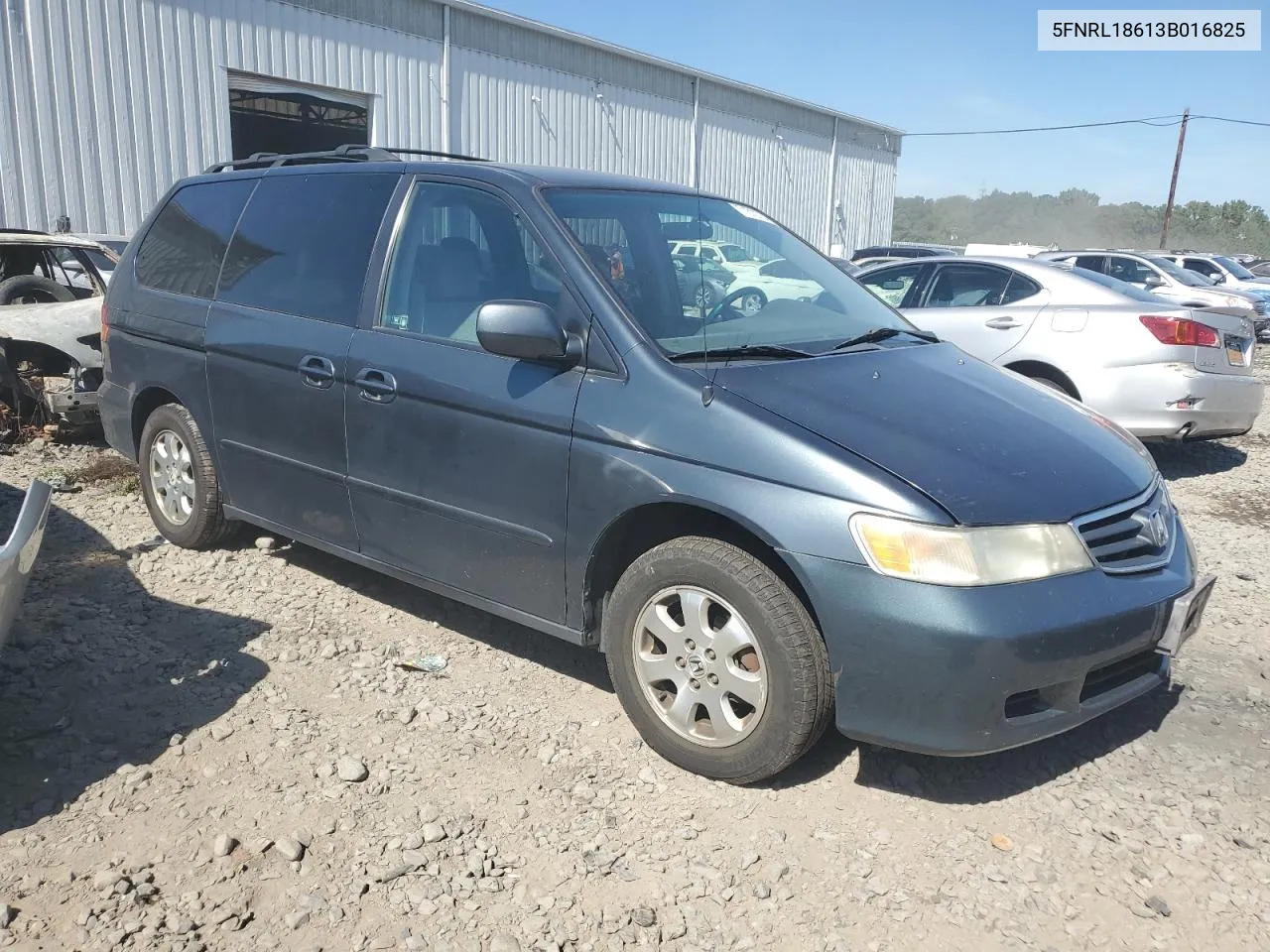 2003 Honda Odyssey Ex VIN: 5FNRL18613B016825 Lot: 71310754