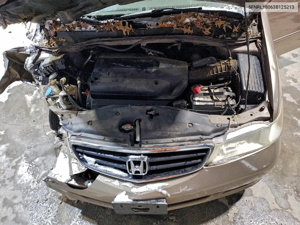 5FNRL18063B125213 2003 Honda Odyssey Exl