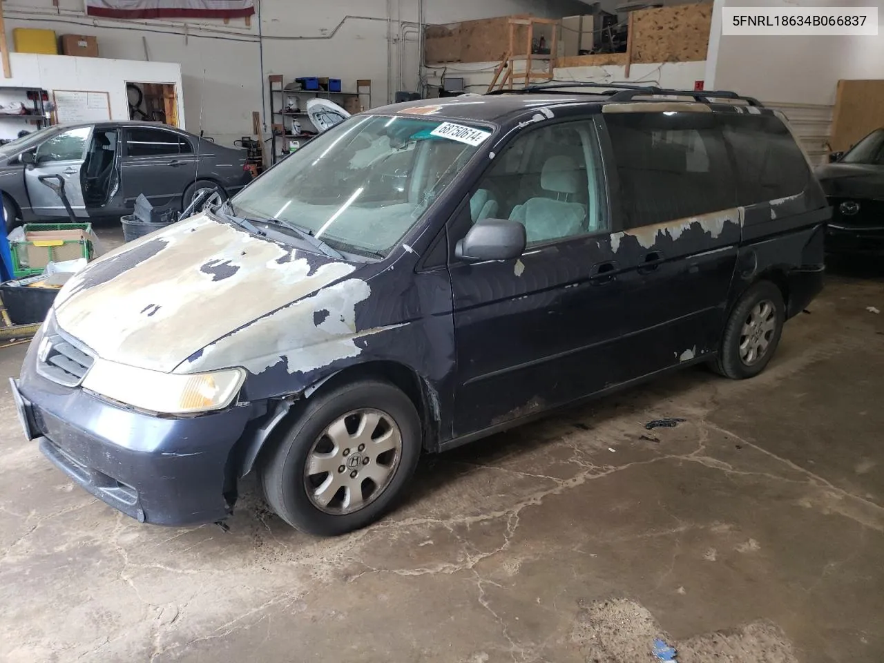 5FNRL18634B066837 2004 Honda Odyssey Ex