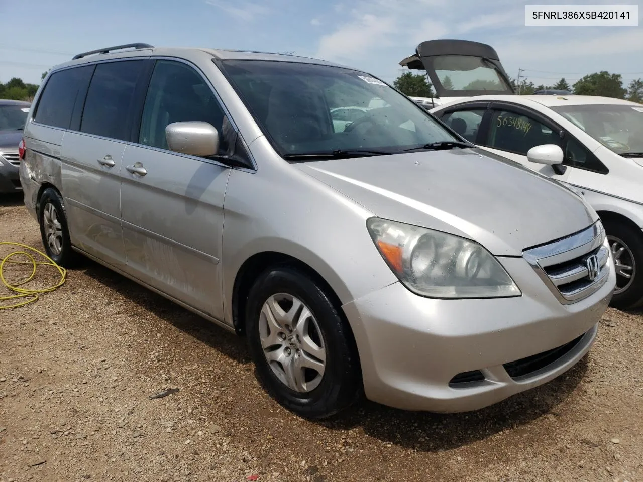 2005 Honda Odyssey Exl VIN: 5FNRL386X5B420141 Lot: 56844384