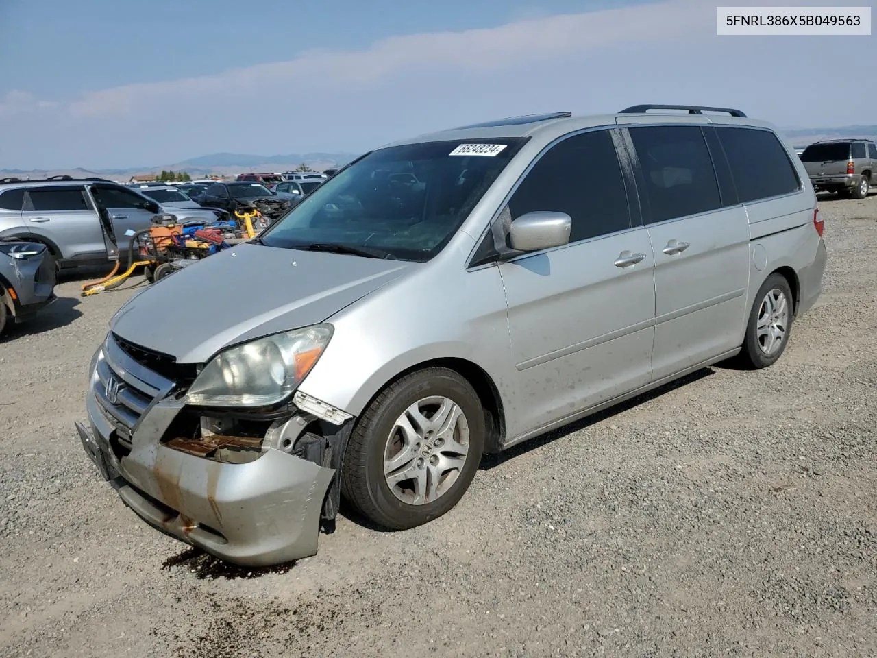 2005 Honda Odyssey Exl VIN: 5FNRL386X5B049563 Lot: 66248234