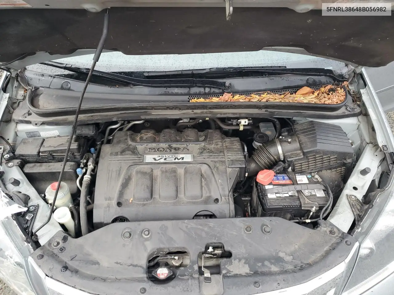 5FNRL38648B056982 2008 Honda Odyssey Exl