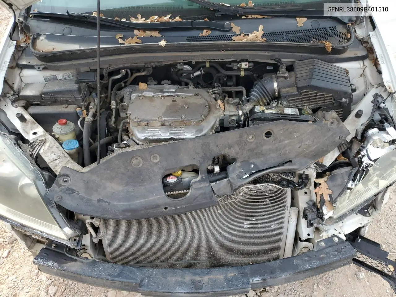 5FNRL38609B401510 2009 Honda Odyssey Exl
