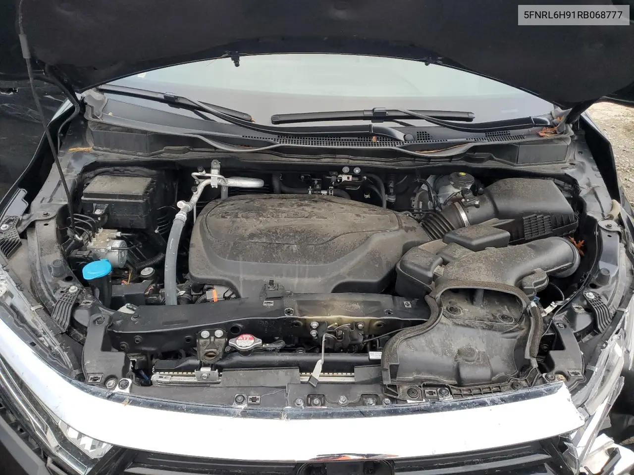 5FNRL6H91RB068777 2024 Honda Odyssey Elite