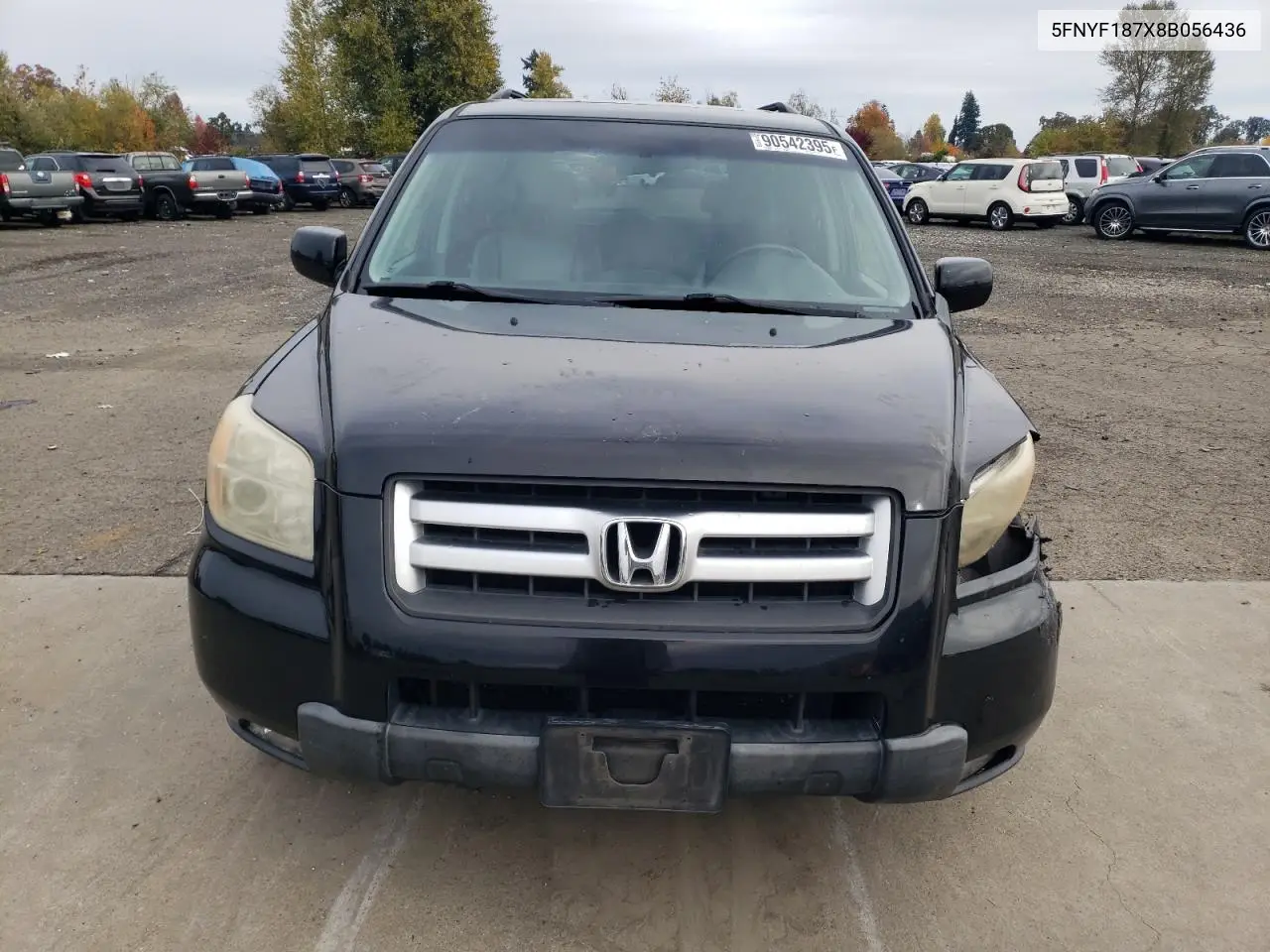 5FNYF187X8B056436 2008 Honda Pilot Exl