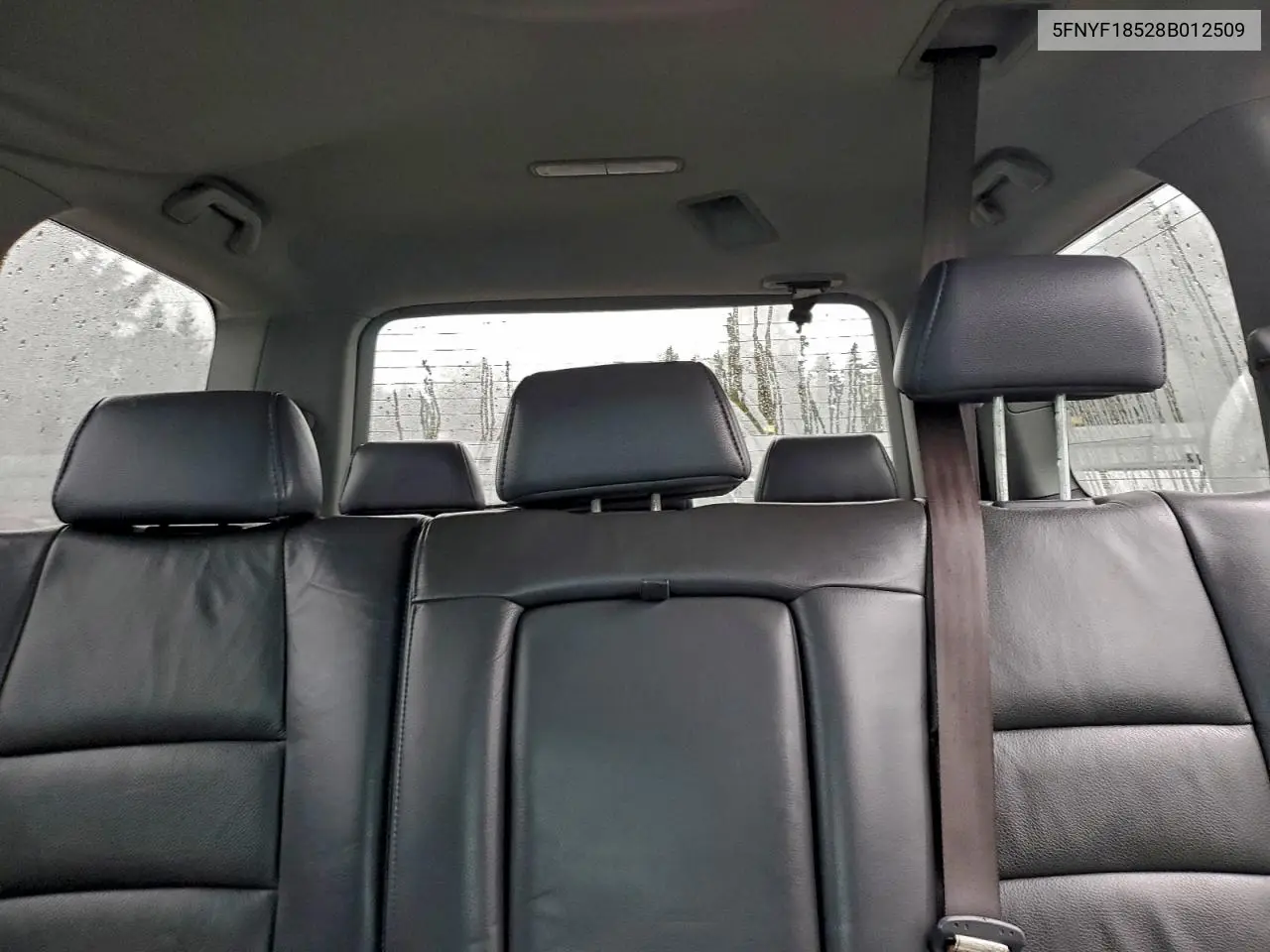 5FNYF18528B012509 2008 Honda Pilot Exl