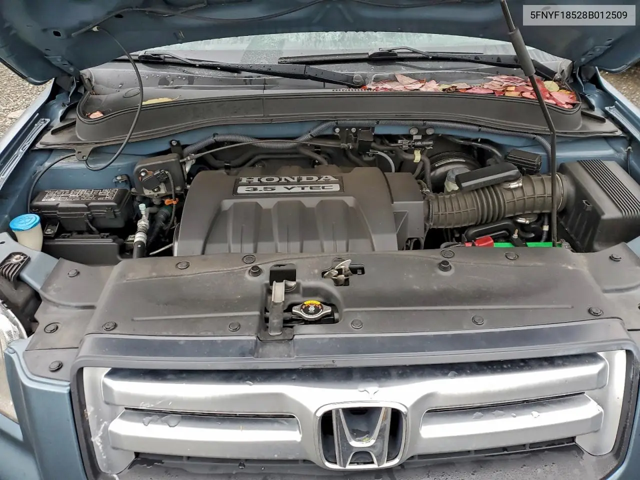 5FNYF18528B012509 2008 Honda Pilot Exl