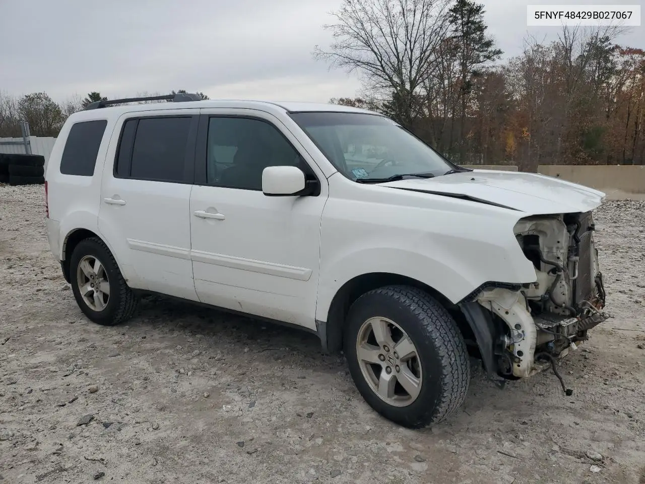 5FNYF48429B027067 2009 Honda Pilot Ex