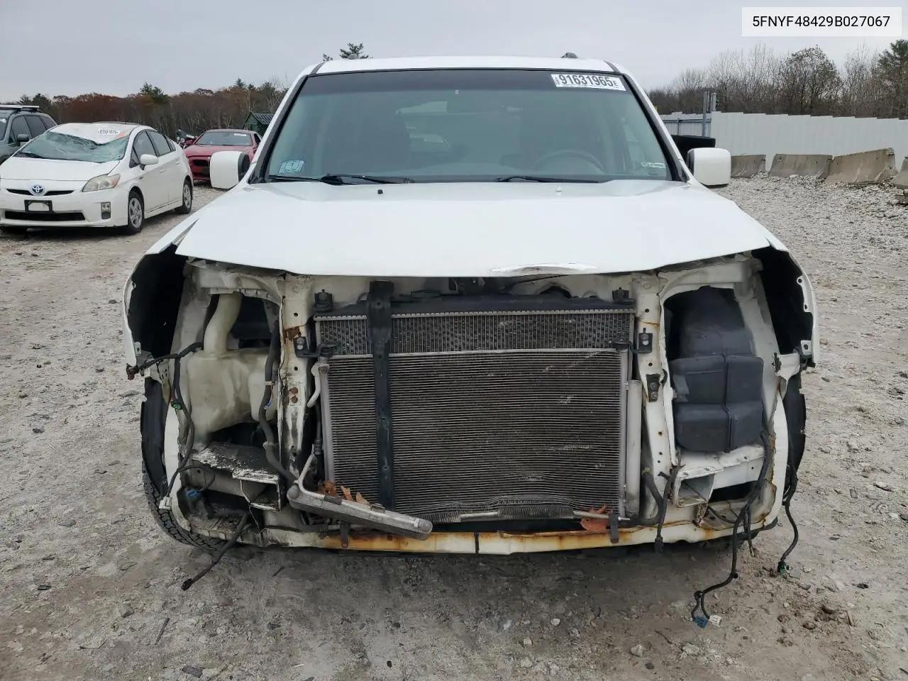 5FNYF48429B027067 2009 Honda Pilot Ex