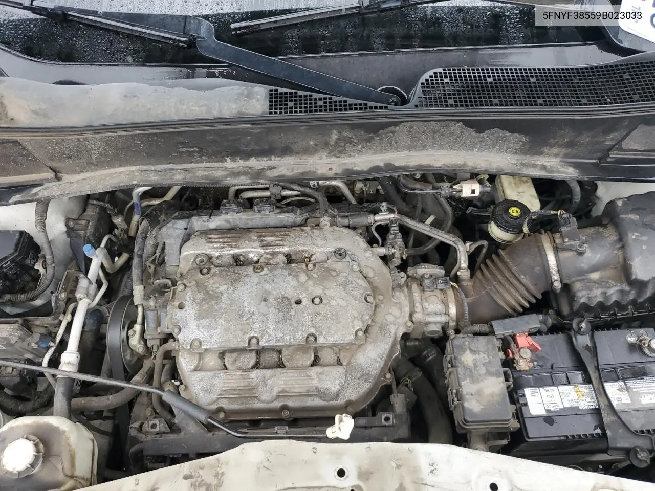 5FNYF38559B023033 2009 Honda Pilot Exl