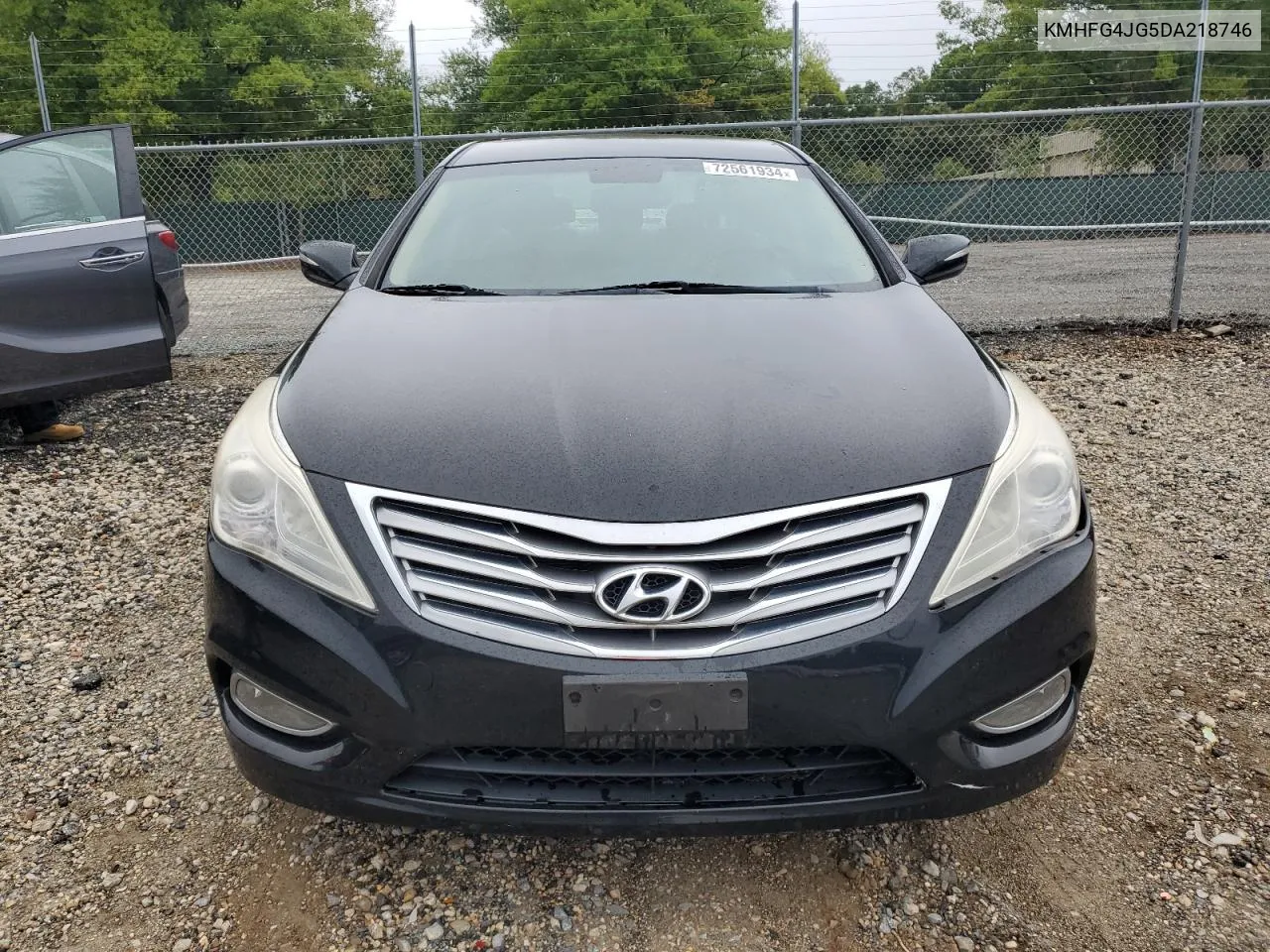 2013 Hyundai Azera VIN: KMHFG4JG5DA218746 Lot: 72561934