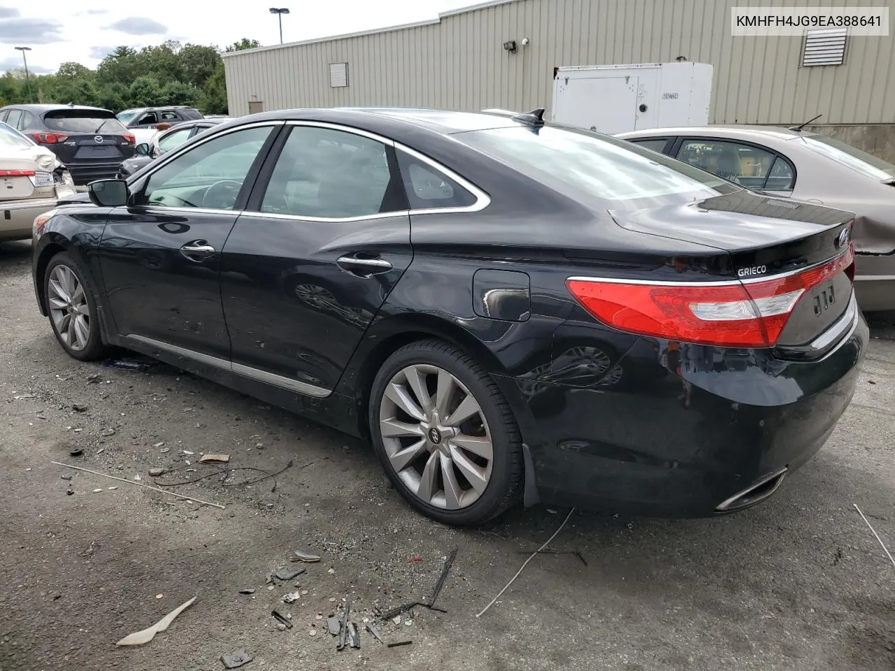 2014 Hyundai Azera Gls VIN: KMHFH4JG9EA388641 Lot: 67331954