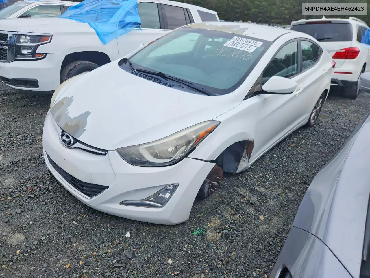 5NPDH4AE4EH462423 2014 Hyundai Elantra Se