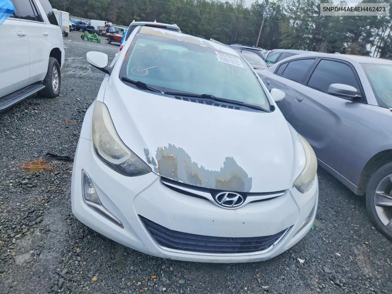 5NPDH4AE4EH462423 2014 Hyundai Elantra Se